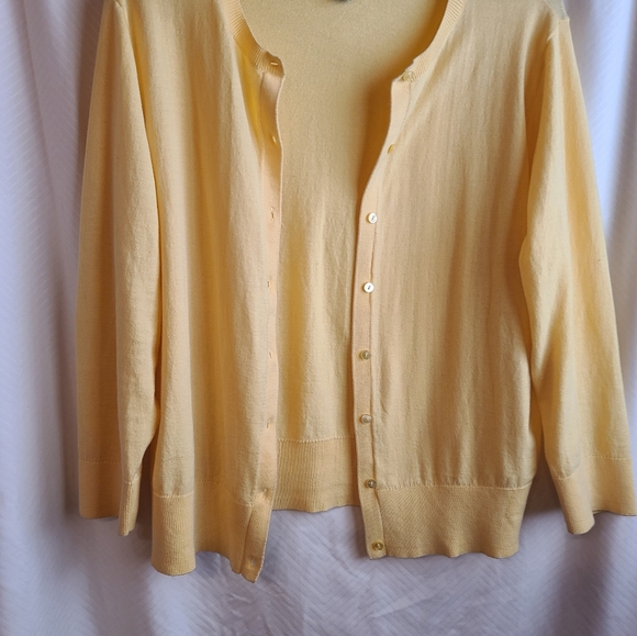 Chaps 2pc - Picture 6 of 7